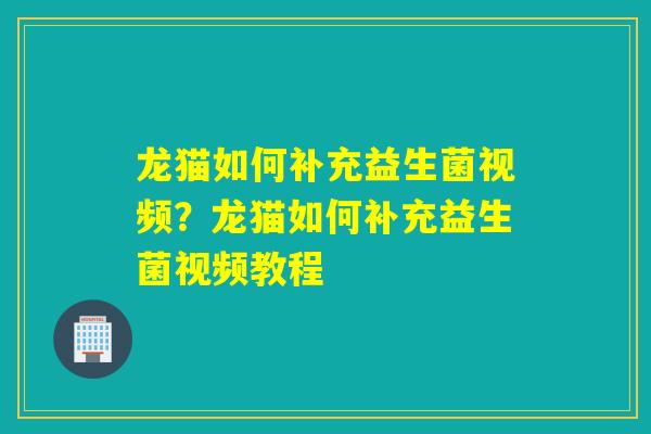 龙猫如何补充益生菌视频?龙猫如何补充益生菌视频教程 龙猫如何补充益生菌视频?龙猫如何补充益生菌视频教程