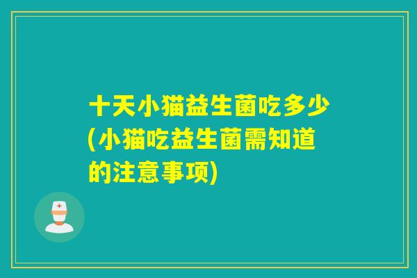 十天小猫益生菌吃多少(小猫吃益生菌需知道的注意事项) 十天小猫益生菌吃多少(小猫吃益生菌需知道的注意事项)