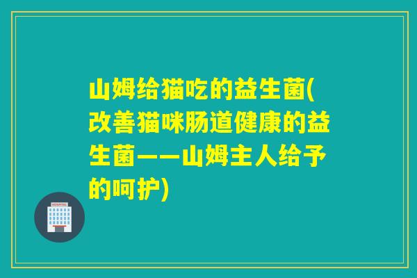 山姆给猫吃的益生菌(改善猫咪肠道健康的益生菌——山姆主人给予的呵护)