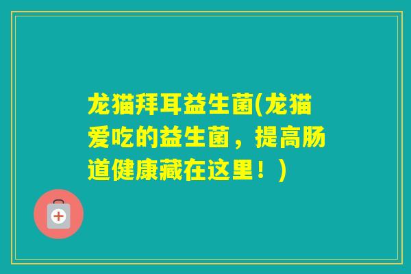 龙猫拜耳益生菌(龙猫爱吃的益生菌，提高肠道健康藏在这里！)