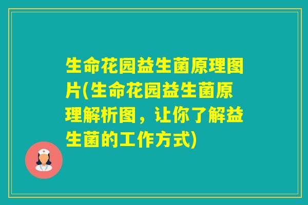 生命花园益生菌原理图片(生命花园益生菌原理解析图，让你了解益生菌的工作方式)