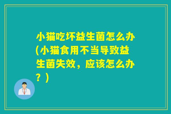 小猫吃坏益生菌怎么办(小猫食用不当导致益生菌失效，应该怎么办？)