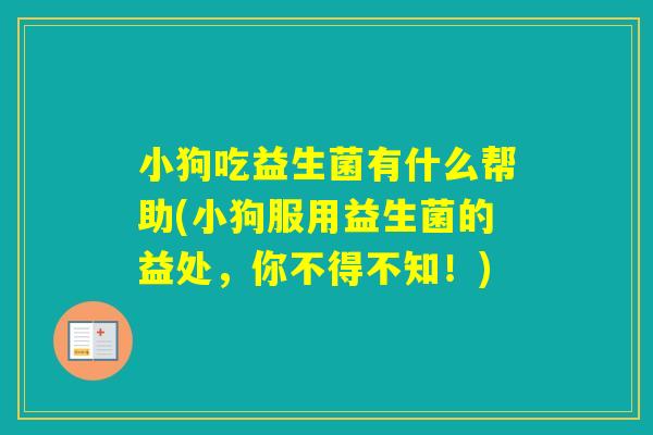 小狗吃益生菌有什么帮助(小狗服用益生菌的益处，你不得不知！)