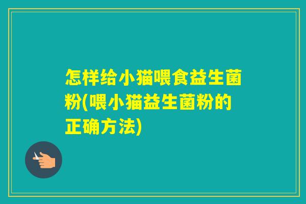 怎样给小猫喂食益生菌粉(喂小猫益生菌粉的正确方法) 怎样给小猫喂食益生菌粉(喂小猫益生菌粉的正确方法)