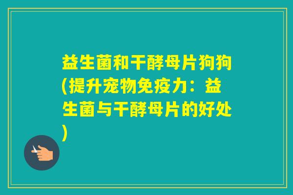 益生菌和干酵母片狗狗(提升宠物力：益生菌与干酵母片的好处)