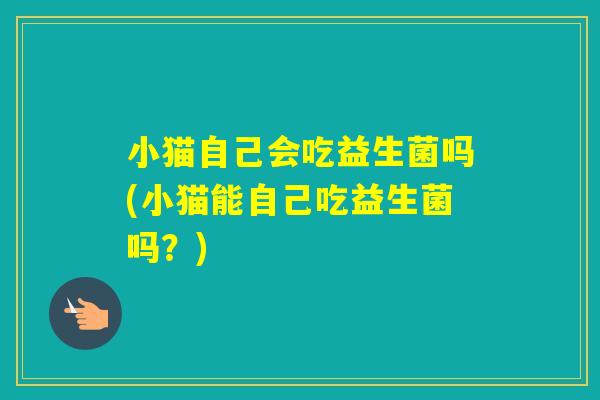 小猫自己会吃益生菌吗(小猫能自己吃益生菌吗？)