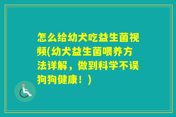 怎么给幼犬吃益生菌视频(幼犬益生菌喂养方法详解,做到科学不误狗狗健康!) 怎么给幼犬吃益生菌视频(幼犬益生菌喂养方法详解,做到科学不误狗狗健康!)