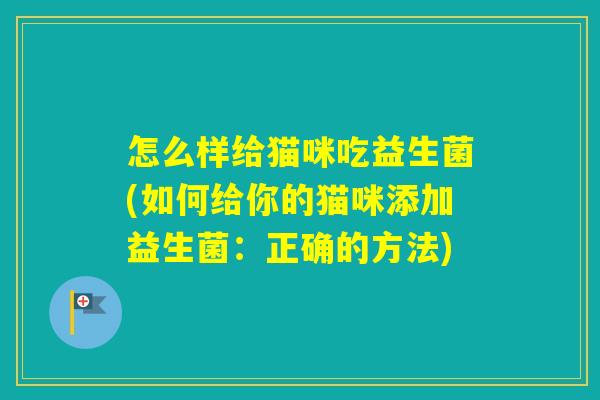 怎么样给猫咪吃益生菌(如何给你的猫咪添加益生菌：正确的方法)