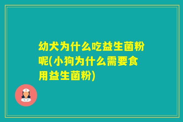 幼犬为什么吃益生菌粉呢(小狗为什么需要食用益生菌粉)