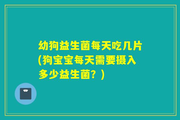 幼狗益生菌每天吃几片(狗宝宝每天需要摄入多少益生菌？)
