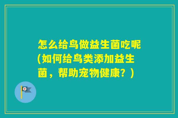 怎么给鸟做益生菌吃呢(如何给鸟类添加益生菌，帮助宠物健康？)