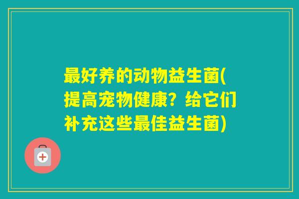 好养的动物益生菌(提高宠物健康?给它们补充这些佳益生菌) 好养的动物益生菌(提高宠物健康?给它们补充这些佳益生菌)