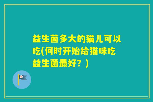 益生菌多大的猫儿可以吃(何时开始给猫咪吃益生菌好？)