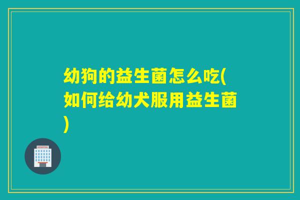 幼狗的益生菌怎么吃(如何给幼犬服用益生菌)