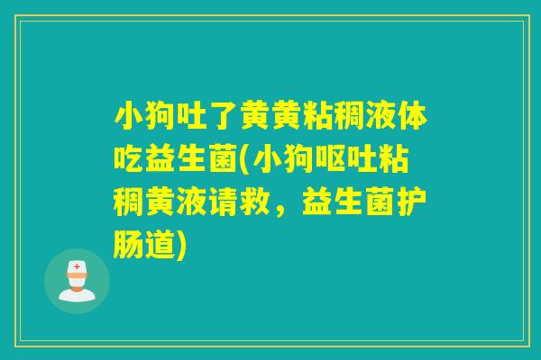 小狗吐了黄黄粘稠液体吃益生菌(小狗粘稠黄液请救,益生菌护肠道) 小狗吐了黄黄粘稠液体吃益生菌(小狗粘稠黄液请救,益生菌护肠道)