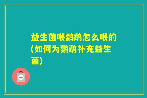 益生菌喂鹦鹉怎么喂的(如何为鹦鹉补充益生菌)