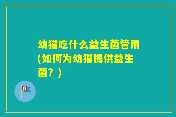 幼猫吃什么益生菌管用(如何为幼猫提供益生菌？)