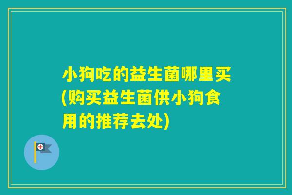 小狗吃的益生菌哪里买(购买益生菌供小狗食用的推荐去处)