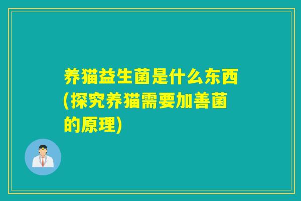 养猫益生菌是什么东西(探究养猫需要加善菌的原理)