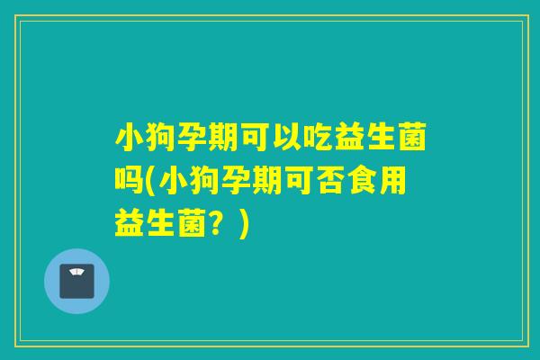 小狗孕期可以吃益生菌吗(小狗孕期可否食用益生菌?) 小狗孕期可以吃益生菌吗(小狗孕期可否食用益生菌?)