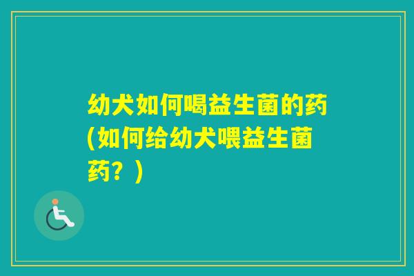 幼犬如何喝益生菌的药(如何给幼犬喂益生菌药?) 幼犬如何喝益生菌的药(如何给幼犬喂益生菌药?)