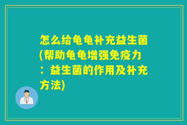 怎么给龟龟补充益生菌(帮助龟龟增强力:益生菌的作用及补充方法) 怎么给龟龟补充益生菌(帮助龟龟增强力:益生菌的作用及补充方法)
