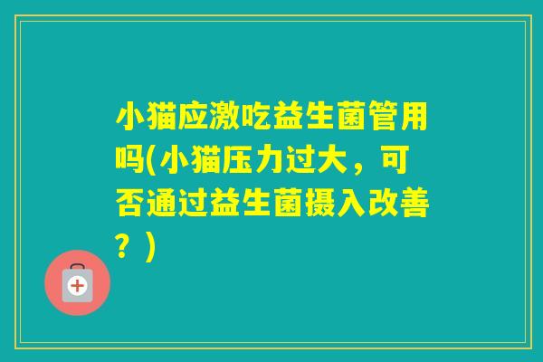 小猫应激吃益生菌管用吗(小猫压力过大,可否通过益生菌摄入改善?) 小猫应激吃益生菌管用吗(小猫压力过大,可否通过益生菌摄入改善?)