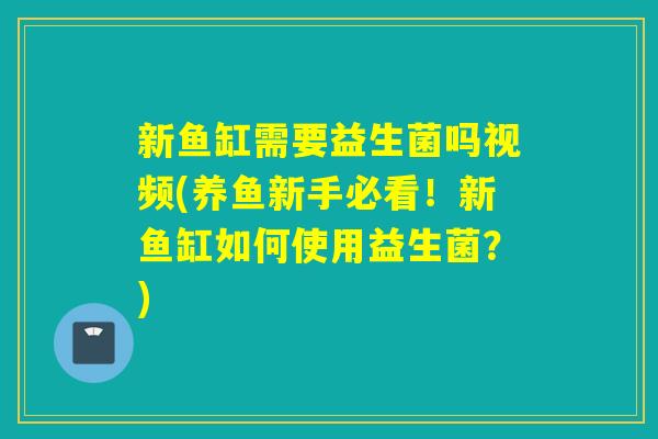 新鱼缸需要益生菌吗视频(养鱼新手必看!新鱼缸如何使用益生菌?) 新鱼缸需要益生菌吗视频(养鱼新手必看!新鱼缸如何使用益生菌?)