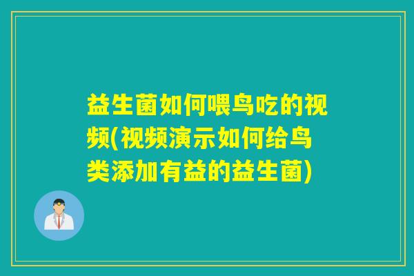 益生菌如何喂鸟吃的视频(视频演示如何给鸟类添加有益的益生菌)