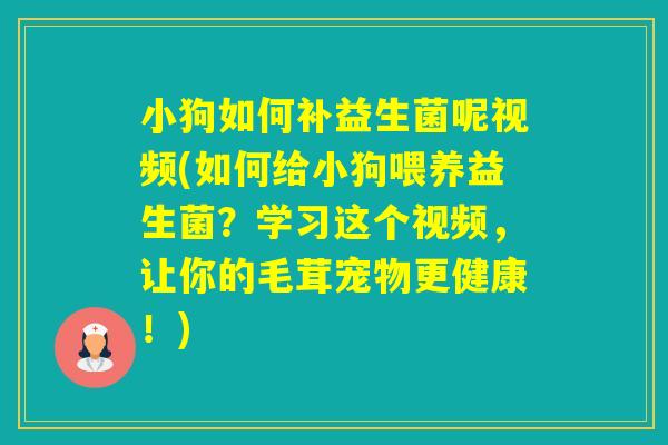 小狗如何补益生菌呢视频(如何给小狗喂养益生菌？学习这个视频，让你的毛茸宠物更健康！)