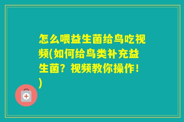 怎么喂益生菌给鸟吃视频(如何给鸟类补充益生菌?视频教你操作!) 怎么喂益生菌给鸟吃视频(如何给鸟类补充益生菌?视频教你操作!)