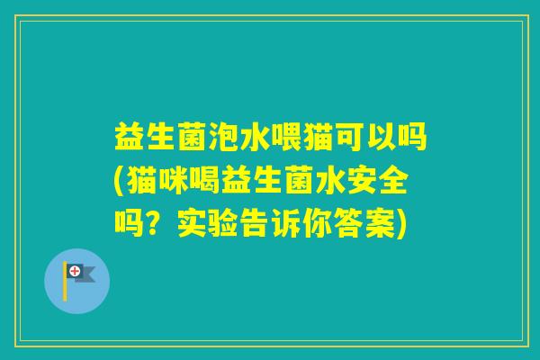 益生菌泡水喂猫可以吗(猫咪喝益生菌水安全吗?实验告诉你答案) 益生菌泡水喂猫可以吗(猫咪喝益生菌水安全吗?实验告诉你答案)