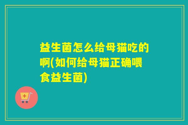 益生菌怎么给母猫吃的啊(如何给母猫正确喂食益生菌)