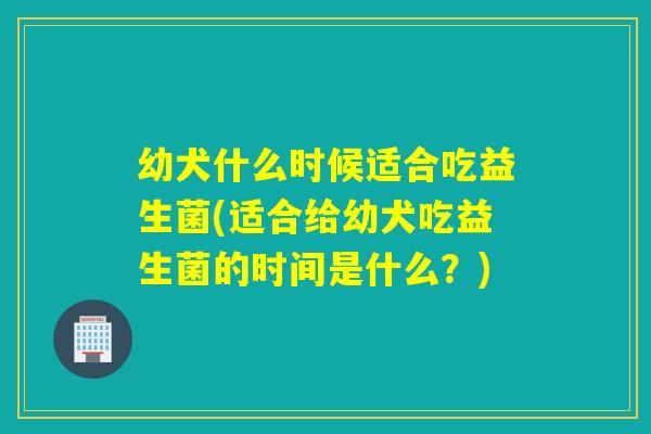 幼犬什么时候适合吃益生菌(适合给幼犬吃益生菌的时间是什么?) 幼犬什么时候适合吃益生菌(适合给幼犬吃益生菌的时间是什么?)