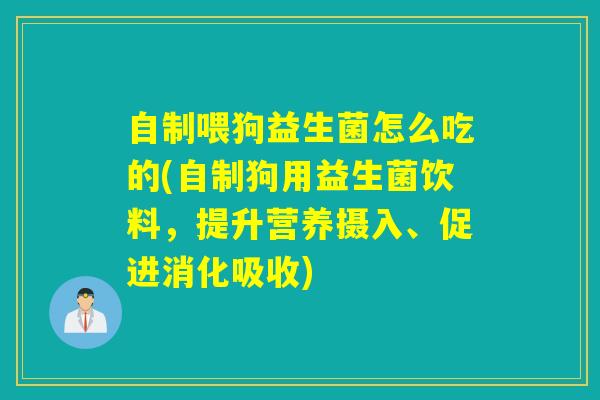 自制喂狗益生菌怎么吃的(自制狗用益生菌饮料,提升营养摄入、促进消化吸收) 自制喂狗益生菌怎么吃的(自制狗用益生菌饮料,提升营养摄入、促进消化吸收)