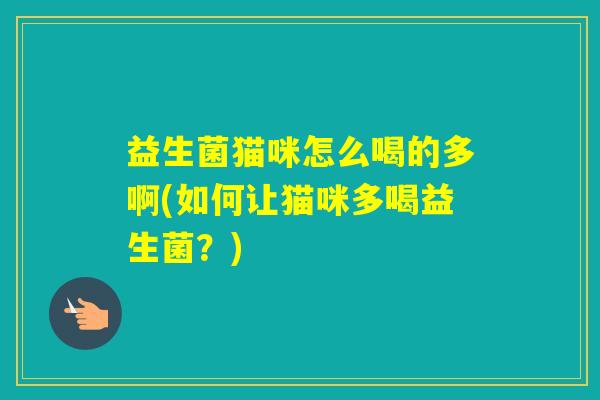 益生菌猫咪怎么喝的多啊(如何让猫咪多喝益生菌？)