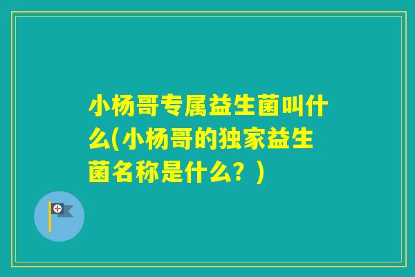 小杨哥专属益生菌叫什么(小杨哥的独家益生菌名称是什么？)