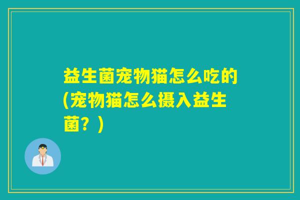 益生菌宠物猫怎么吃的(宠物猫怎么摄入益生菌？)