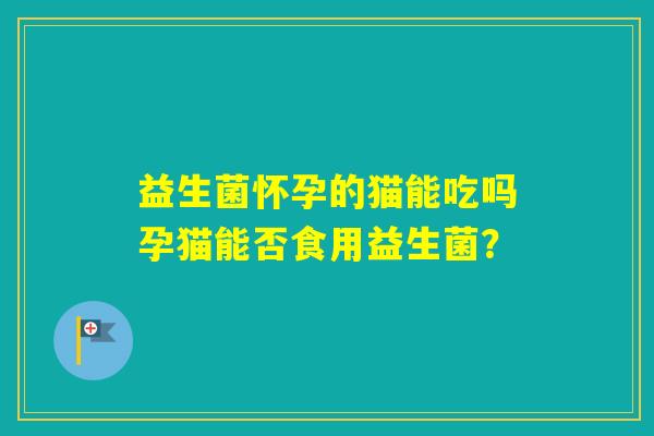 益生菌怀孕的猫能吃吗孕猫能否食用益生菌? 益生菌怀孕的猫能吃吗孕猫能否食用益生菌?