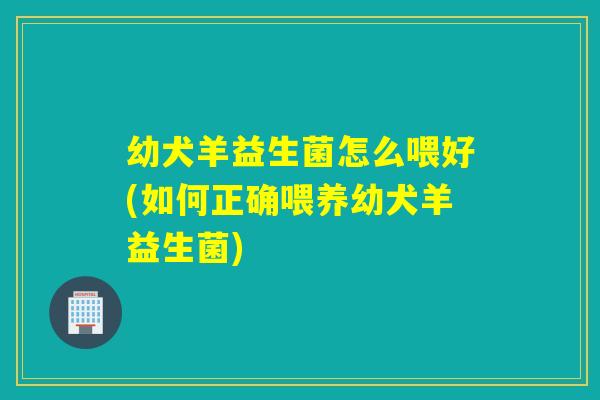 幼犬羊益生菌怎么喂好(如何正确喂养幼犬羊益生菌)