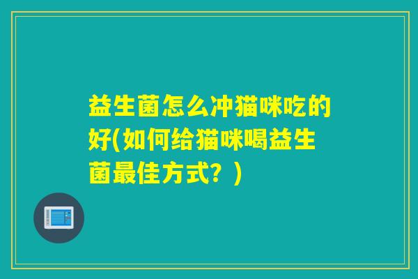 益生菌怎么冲猫咪吃的好(如何给猫咪喝益生菌佳方式？)