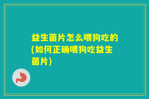 益生菌片怎么喂狗吃的(如何正确喂狗吃益生菌片)