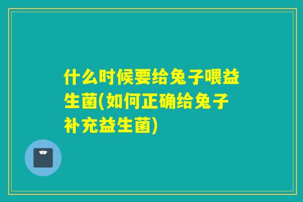 什么时候要给兔子喂益生菌(如何正确给兔子补充益生菌)