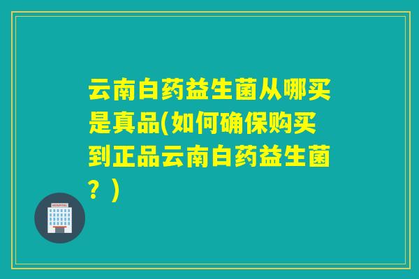 云南白药益生菌从哪买是真品(如何确保购买到正品云南白药益生菌?) 云南白药益生菌从哪买是真品(如何确保购买到正品云南白药益生菌?)