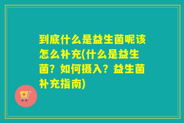 到底什么是益生菌呢该怎么补充(什么是益生菌？如何摄入？益生菌补充指南)