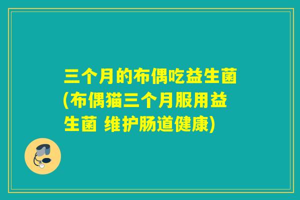 三个月的布偶吃益生菌(布偶猫三个月服用益生菌 维护肠道健康)