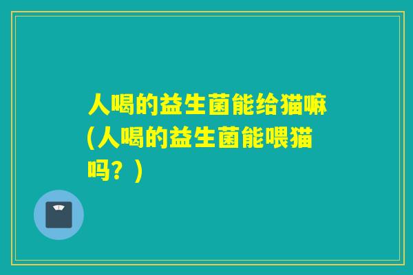 人喝的益生菌能给猫嘛(人喝的益生菌能喂猫吗？)