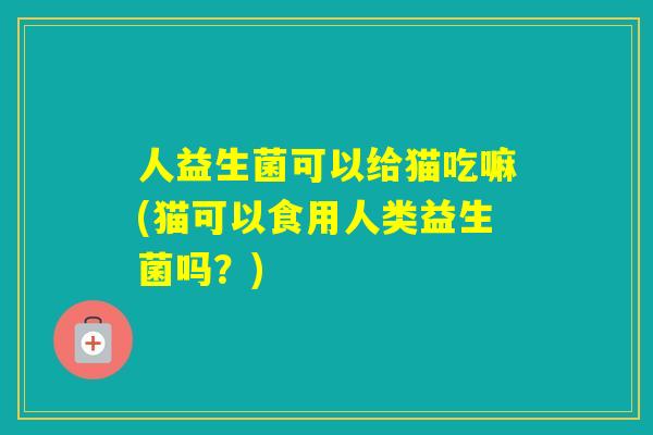 人益生菌可以给猫吃嘛(猫可以食用人类益生菌吗？)