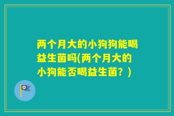 两个月大的小狗狗能喝益生菌吗(两个月大的小狗能否喝益生菌？)
