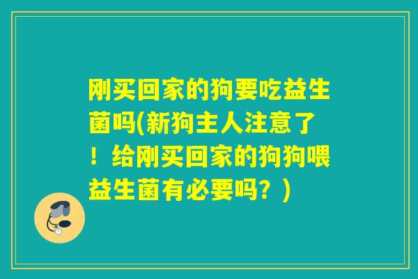 刚买回家的狗要吃益生菌吗(新狗主人注意了!给刚买回家的狗狗喂益生菌有必要吗?) 刚买回家的狗要吃益生菌吗(新狗主人注意了!给刚买回家的狗狗喂益生菌有必要吗?)